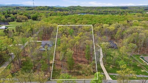 Tiny photo for Peaceful Point, Dandridge, TN 37725 (MLS # 1337682)