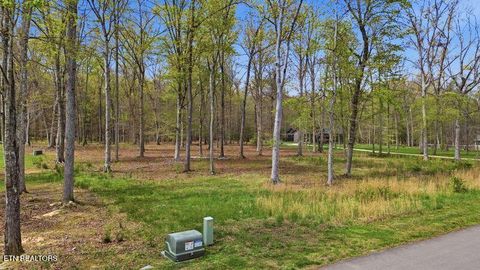 Tiny photo for Peaceful Point, Dandridge, TN 37725 (MLS # 1337682)