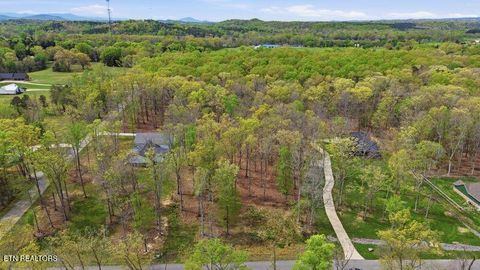 Tiny photo for Peaceful Point, Dandridge, TN 37725 (MLS # 1337682)