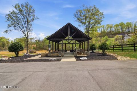 Tiny photo for Peaceful Point, Dandridge, TN 37725 (MLS # 1337682)