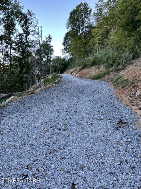Tiny photo for 310 Jessee Rd, Maynardville, TN 37807 (MLS # 1317998)