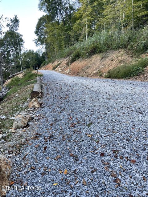 Tiny photo for 310 Jessee Rd, Maynardville, TN 37807 (MLS # 1317998)