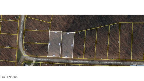 Photo of 734735 Renegade Mountain Pkwy, Crab Orchard, TN 37723 (MLS # 1350757)