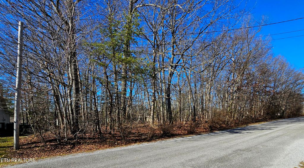 Photo of 308 Kings Down Drive, Crossville, TN 38558 (MLS # 1329900)