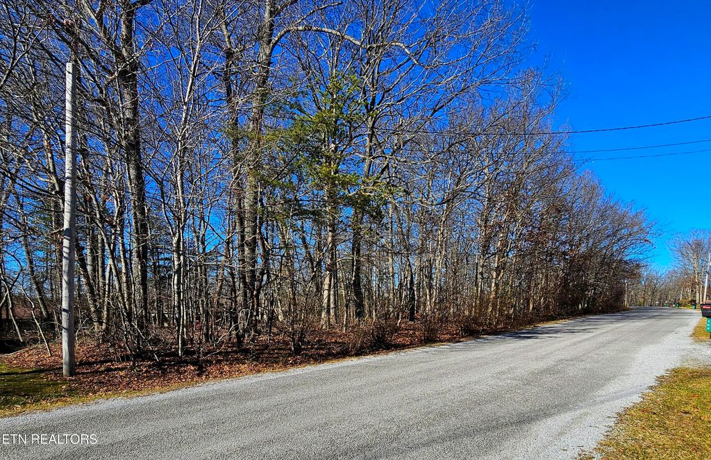 Photo of 308 Kings Down Drive, Crossville, TN 38558 (MLS # 1329900)