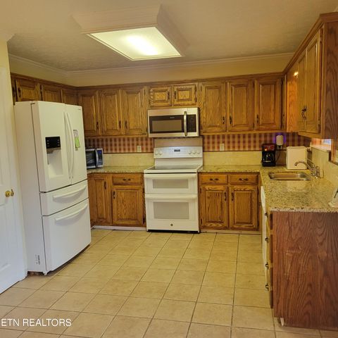 Tiny photo for 257 Idlewild Drive, White Pine, TN 37890 (MLS # 1315211)