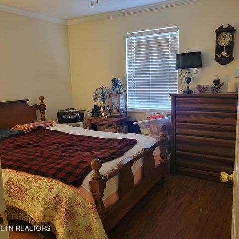 Tiny photo for 257 Idlewild Drive, White Pine, TN 37890 (MLS # 1315211)