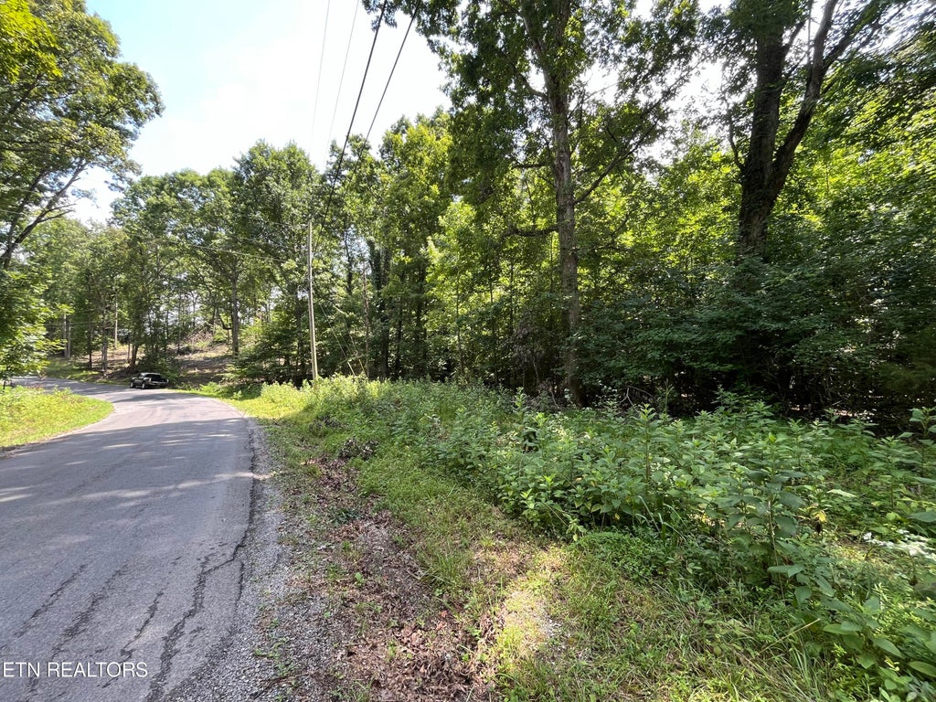 Photo of 00 Scenic Lakeview Drive, Spring City, TN 37381 (MLS # 1272363)