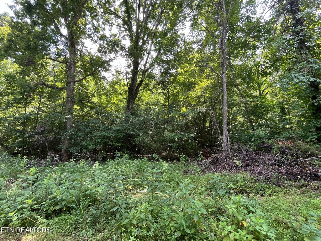 Photo of 00 Scenic Lakeview Drive, Spring City, TN 37381 (MLS # 1272363)