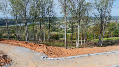 Tiny photo for 102 Eagles Crest Ct Ct, Loudon, TN 37774 (MLS # 1360320)