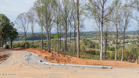 Tiny photo for 102 Eagles Crest Ct Ct, Loudon, TN 37774 (MLS # 1360320)