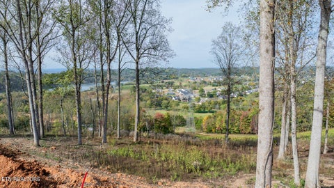 Tiny photo for 102 Eagles Crest Ct Ct, Loudon, TN 37774 (MLS # 1360320)