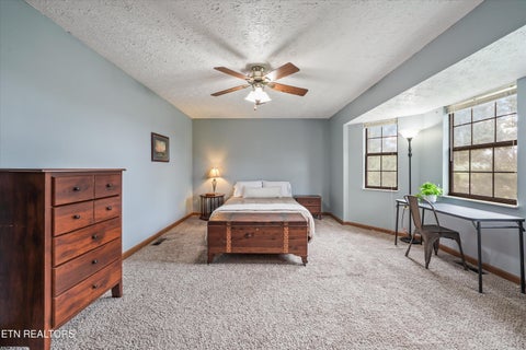 Tiny photo for 925 Tree Trunk Rd, Knoxville, TN 37934 (MLS # 1349228)