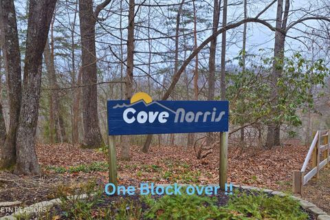 Tiny photo for 110 Laguna Vista Drive, Caryville, TN 37714 (MLS # 1328682)