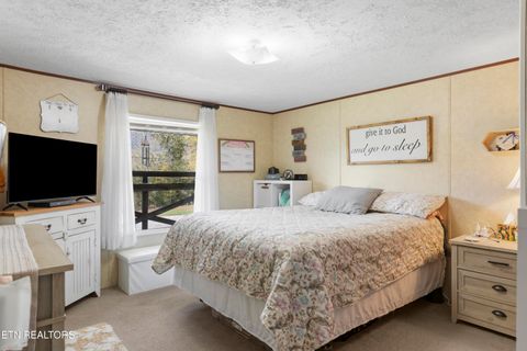 Tiny photo for 221 Sinnamon Ln Ln, Rutledge, TN 37861 (MLS # 1320346)