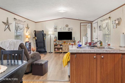 Tiny photo for 221 Sinnamon Ln Ln, Rutledge, TN 37861 (MLS # 1320346)