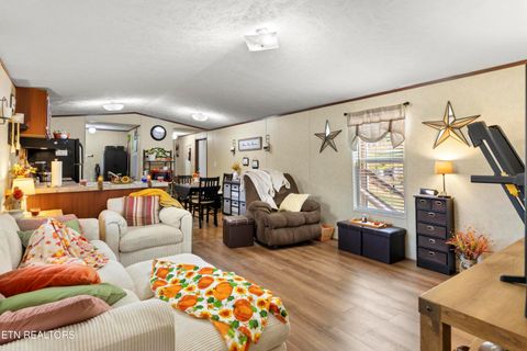 Tiny photo for 221 Sinnamon Ln Ln, Rutledge, TN 37861 (MLS # 1320346)