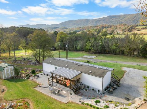 Tiny photo for 221 Sinnamon Ln Ln, Rutledge, TN 37861 (MLS # 1320346)