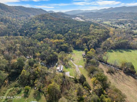 Tiny photo for 221 Sinnamon Ln Ln, Rutledge, TN 37861 (MLS # 1320346)