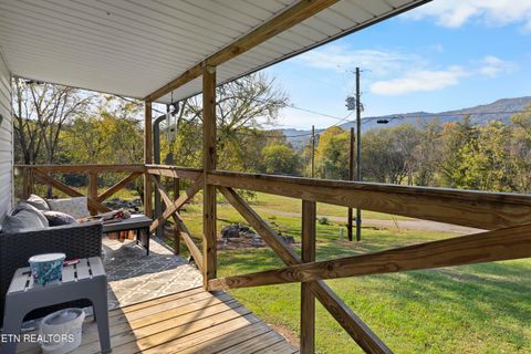 Tiny photo for 221 Sinnamon Ln Ln, Rutledge, TN 37861 (MLS # 1320346)