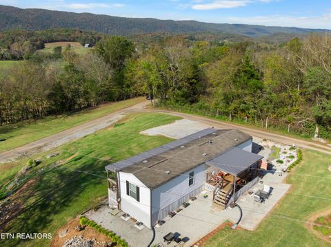 Tiny photo for 221 Sinnamon Ln Ln, Rutledge, TN 37861 (MLS # 1320346)