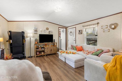 Tiny photo for 221 Sinnamon Ln Ln, Rutledge, TN 37861 (MLS # 1320346)