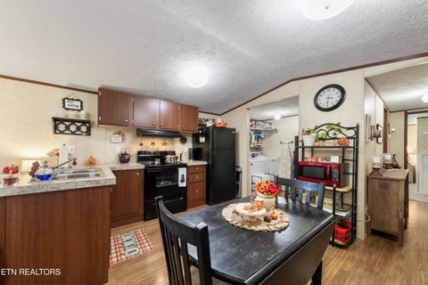 Tiny photo for 221 Sinnamon Ln Ln, Rutledge, TN 37861 (MLS # 1320346)