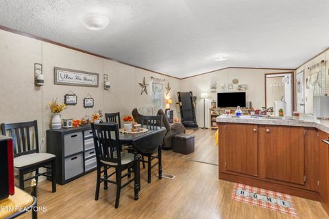 Tiny photo for 221 Sinnamon Ln Ln, Rutledge, TN 37861 (MLS # 1320346)