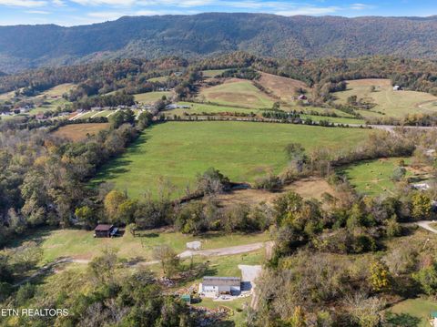 Tiny photo for 221 Sinnamon Ln Ln, Rutledge, TN 37861 (MLS # 1320346)