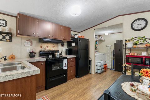 Tiny photo for 221 Sinnamon Ln Ln, Rutledge, TN 37861 (MLS # 1320346)