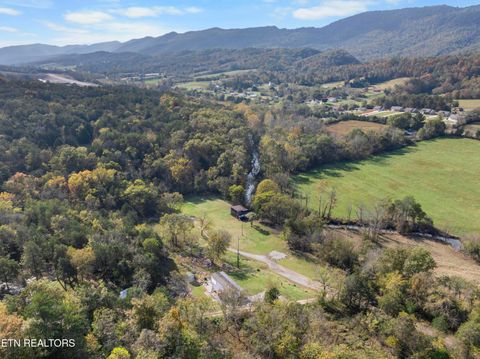 Tiny photo for 221 Sinnamon Ln Ln, Rutledge, TN 37861 (MLS # 1320346)