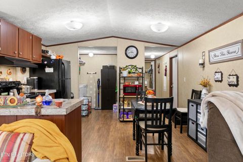 Tiny photo for 221 Sinnamon Ln Ln, Rutledge, TN 37861 (MLS # 1320346)