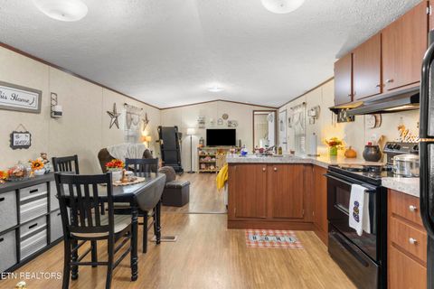 Tiny photo for 221 Sinnamon Ln Ln, Rutledge, TN 37861 (MLS # 1320346)