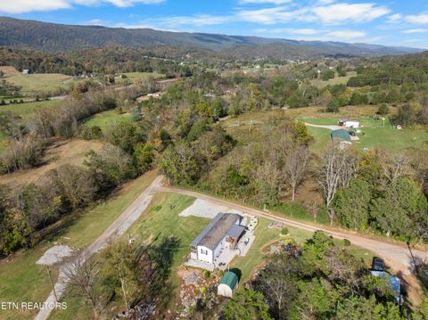 Tiny photo for 221 Sinnamon Ln Ln, Rutledge, TN 37861 (MLS # 1320346)