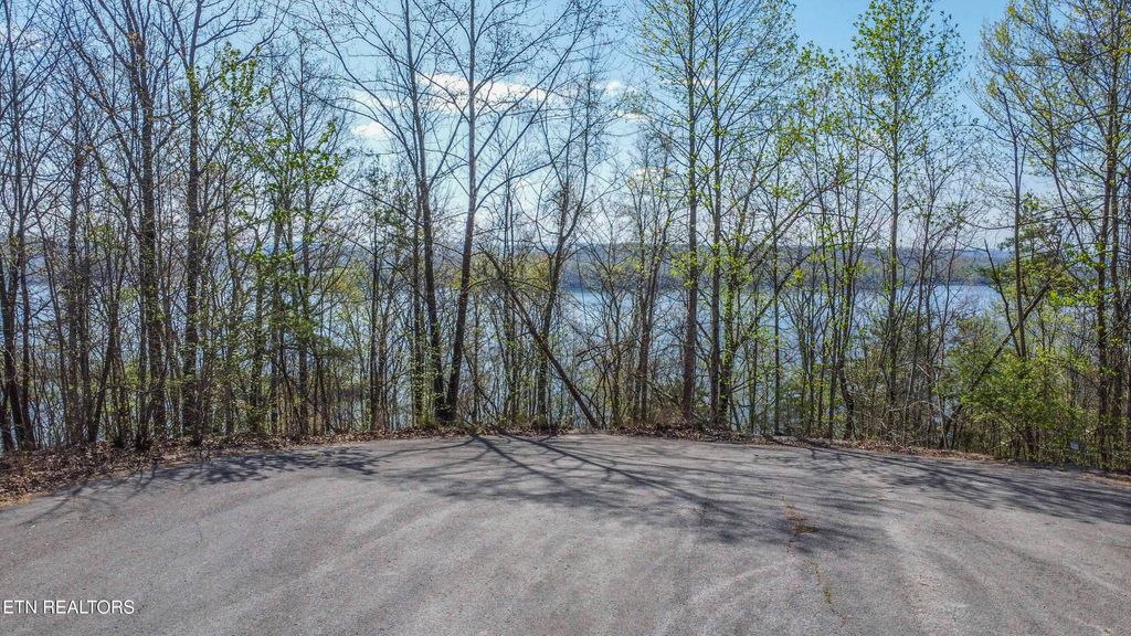 Photo of 106 Eerie Point, Rockwood, TN 37854 (MLS # 1335332)