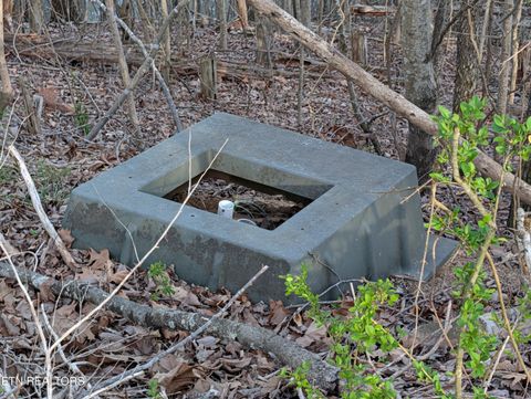 Tiny photo for 106 Eerie Point, Rockwood, TN 37854 (MLS # 1335332)