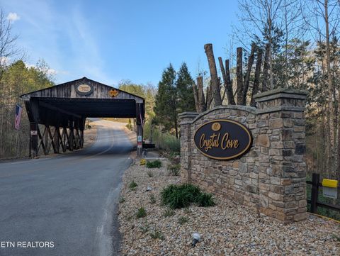 Tiny photo for 106 Eerie Point, Rockwood, TN 37854 (MLS # 1335332)