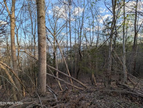 Tiny photo for 106 Eerie Point, Rockwood, TN 37854 (MLS # 1335332)