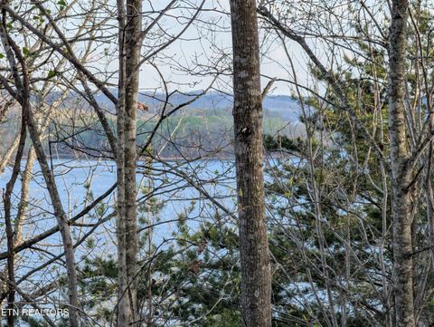 Tiny photo for 106 Eerie Point, Rockwood, TN 37854 (MLS # 1335332)