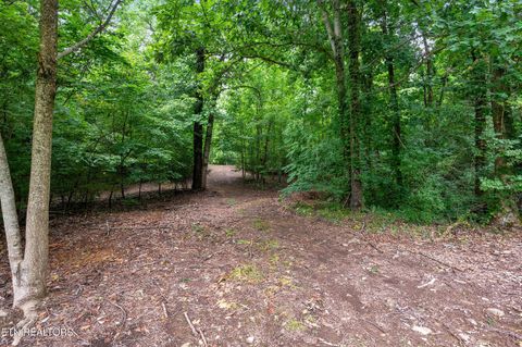 Tiny photo for 910 English Mtn Rd, Cosby, TN 37722 (MLS # 1339609)