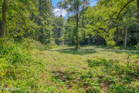 Tiny photo for Belcher Loop, Tellico Plains, TN 37385 (MLS # 1355984)