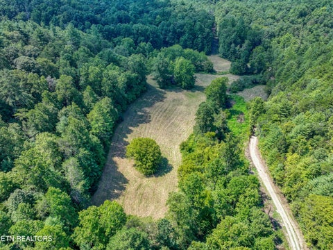 Tiny photo for Belcher Loop, Tellico Plains, TN 37385 (MLS # 1355984)