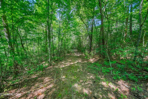 Tiny photo for Belcher Loop, Tellico Plains, TN 37385 (MLS # 1355984)
