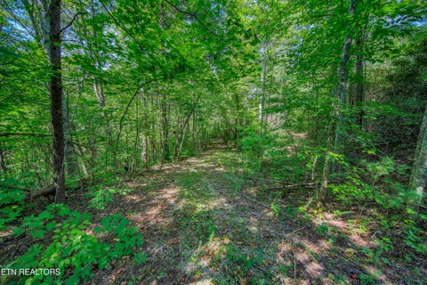 Tiny photo for Belcher Loop, Tellico Plains, TN 37385 (MLS # 1355984)