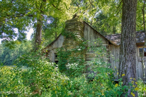 Tiny photo for Belcher Loop, Tellico Plains, TN 37385 (MLS # 1355984)