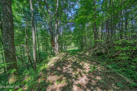 Tiny photo for Belcher Loop, Tellico Plains, TN 37385 (MLS # 1355984)