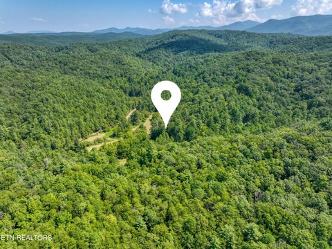 Tiny photo for Belcher Loop, Tellico Plains, TN 37385 (MLS # 1355984)