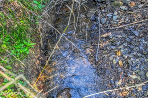 Tiny photo for Belcher Loop, Tellico Plains, TN 37385 (MLS # 1355984)