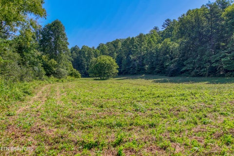 Tiny photo for Belcher Loop, Tellico Plains, TN 37385 (MLS # 1355984)