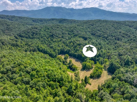 Tiny photo for Belcher Loop, Tellico Plains, TN 37385 (MLS # 1355984)